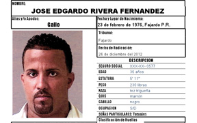 José E. Rivera Fernández  alias el “Gallo”. (Imagen Suministrada) 