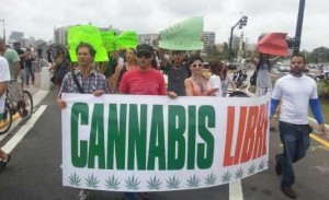 El grupo salió desde el Parque del Indio, en Condado, hasta la El Capitolio en un esfuerzo por  des- estigmatizar la planta Cannabis Sativa. (Foto/Facebook)