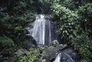 Cascada en El Yunque. (Foto / Suministrada)