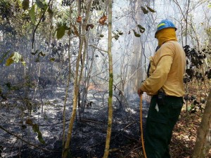 Bomberos forestal logra controlar fuego