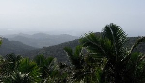 El Yunque. (Foto/Suministrada)