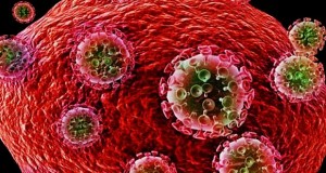 Virus del HIV. (Foto MSP Noticias)