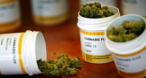 Cannabis medicinal. (Foto/Suministrada)