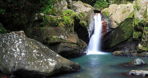 "Las Mina Falls" en El Yunque. (Foto/Suministrada)