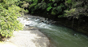 Río Mameyes en Luquillo. (Foto/Suministrada) 