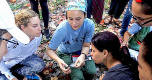 Estudiantes locales e internacionales aprenden cómo las aves migratorias son capturadas y anilladas para la investigación en la Reserva Ecológica de Boca de Canasí en Cuba. (Foto por: Juan Luis Leal)
